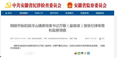 枞阳新闻爆料电话查询网,一键获取权威新闻线索  第1张